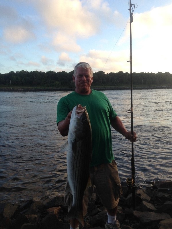 Cape Cod Canal Stripers